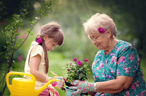 An elderly woman and a young girl gardening together