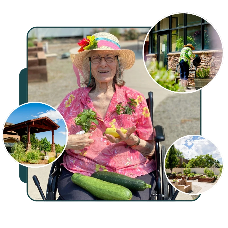 Resident enjoying gardening with vegetables