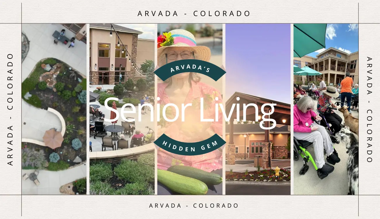 Collage showcasing senior living spaces and activities