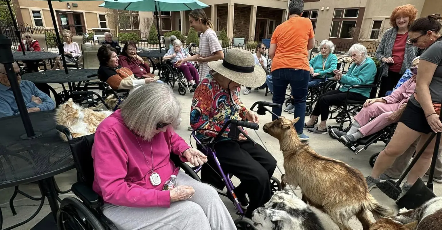 Residents enjoying pet therapy with animals in an outdoor space
