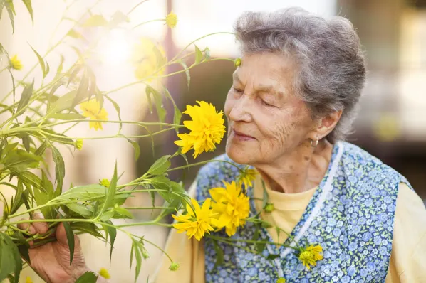 A resident smelling yellow flowers in a garden