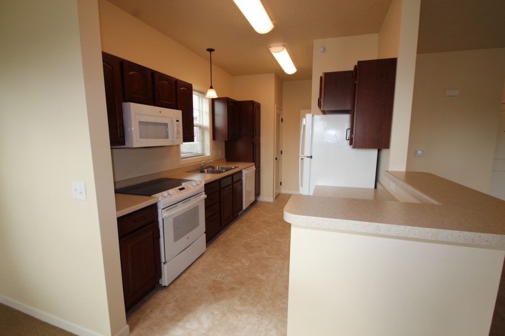 Modern kitchen in a resident apartment