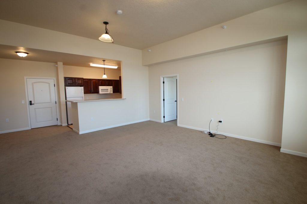 Interior view of a vacant living space