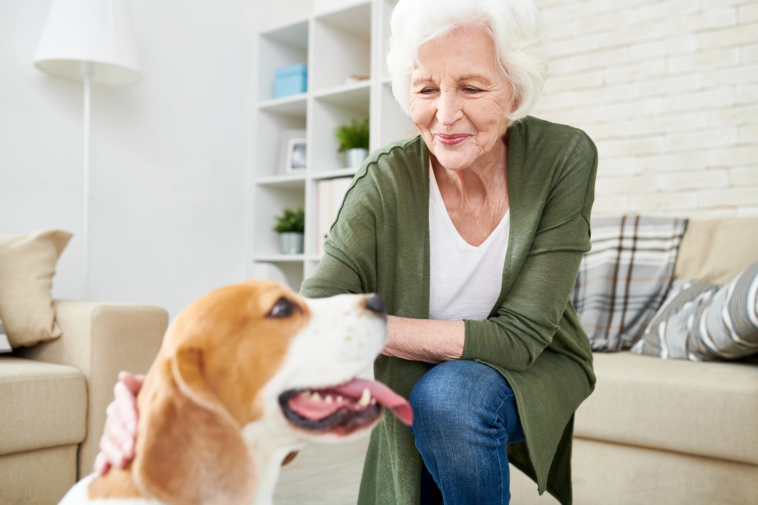 An elderly woman interacting with a dog in a cozy living room