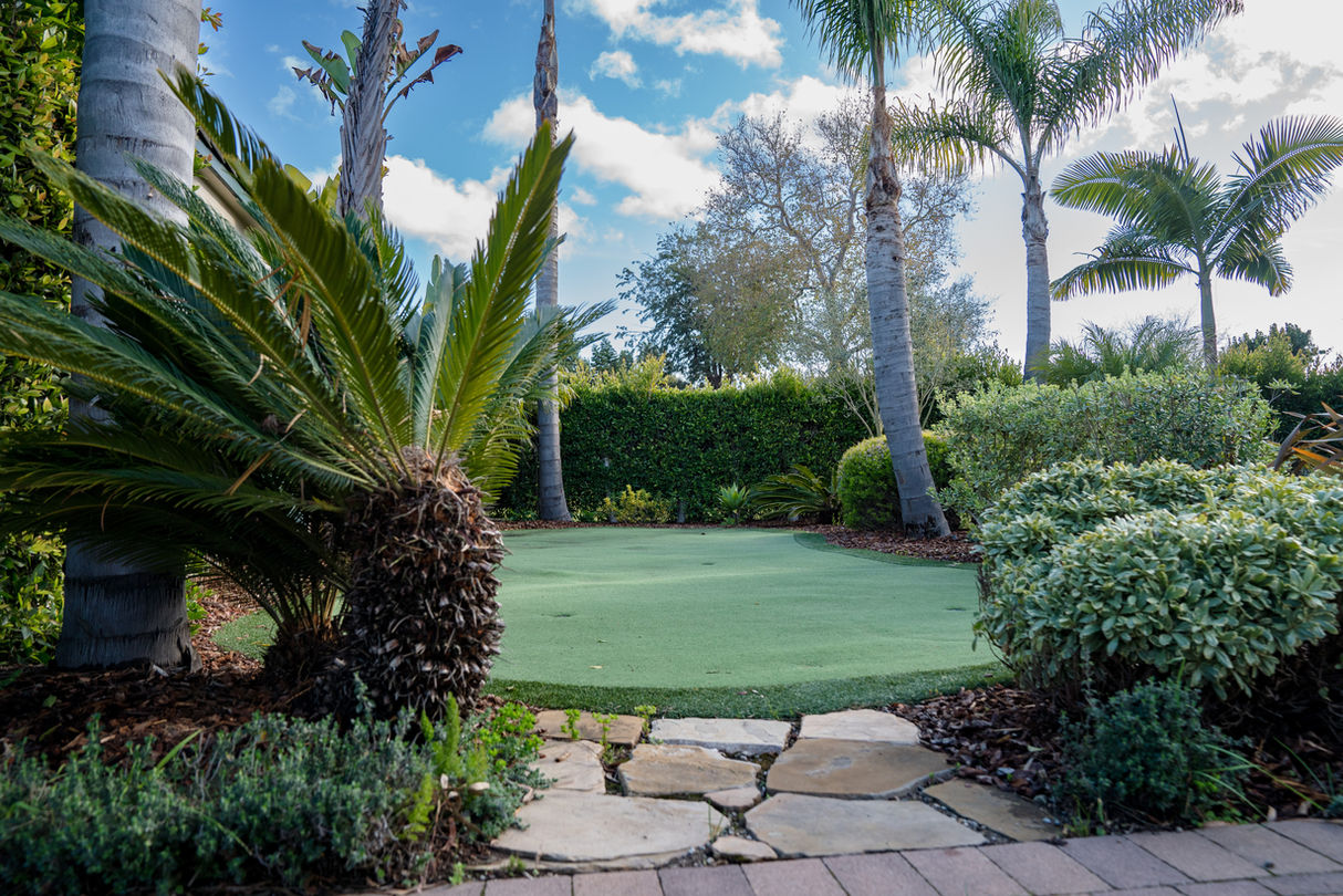 Lush outdoor garden with palm trees and greenery