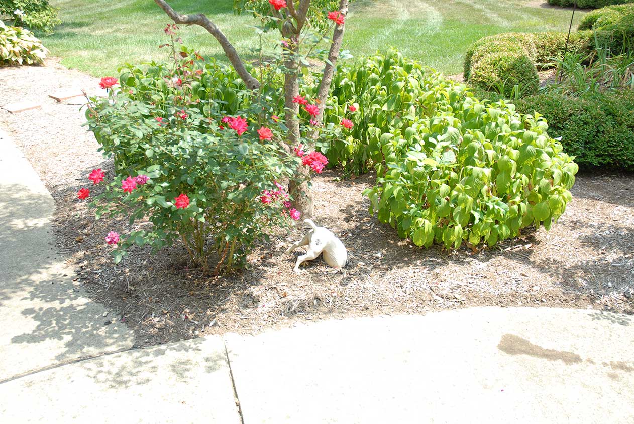 Bell Trace Family-first Senior Living
