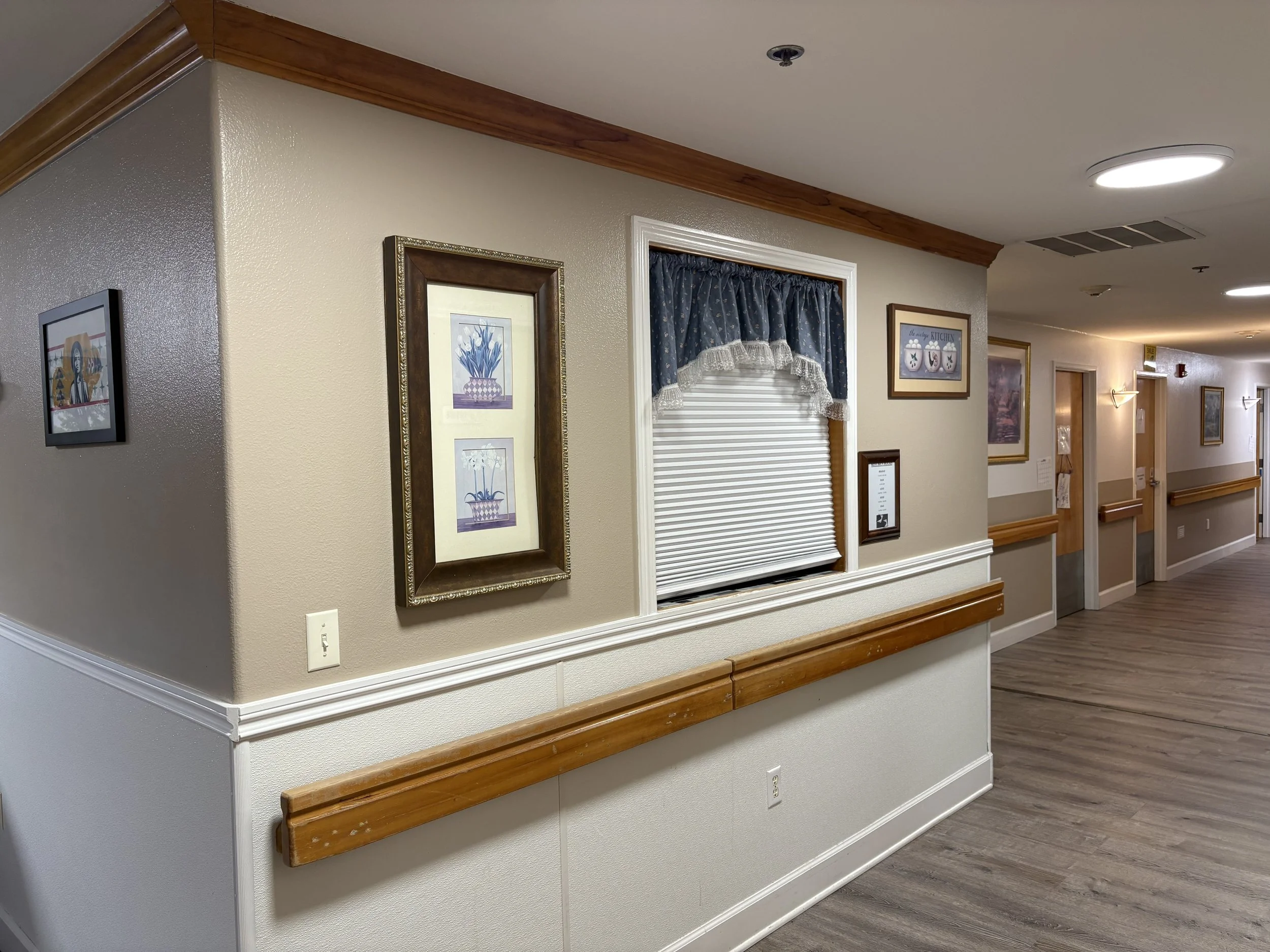 Mountain View Care Home