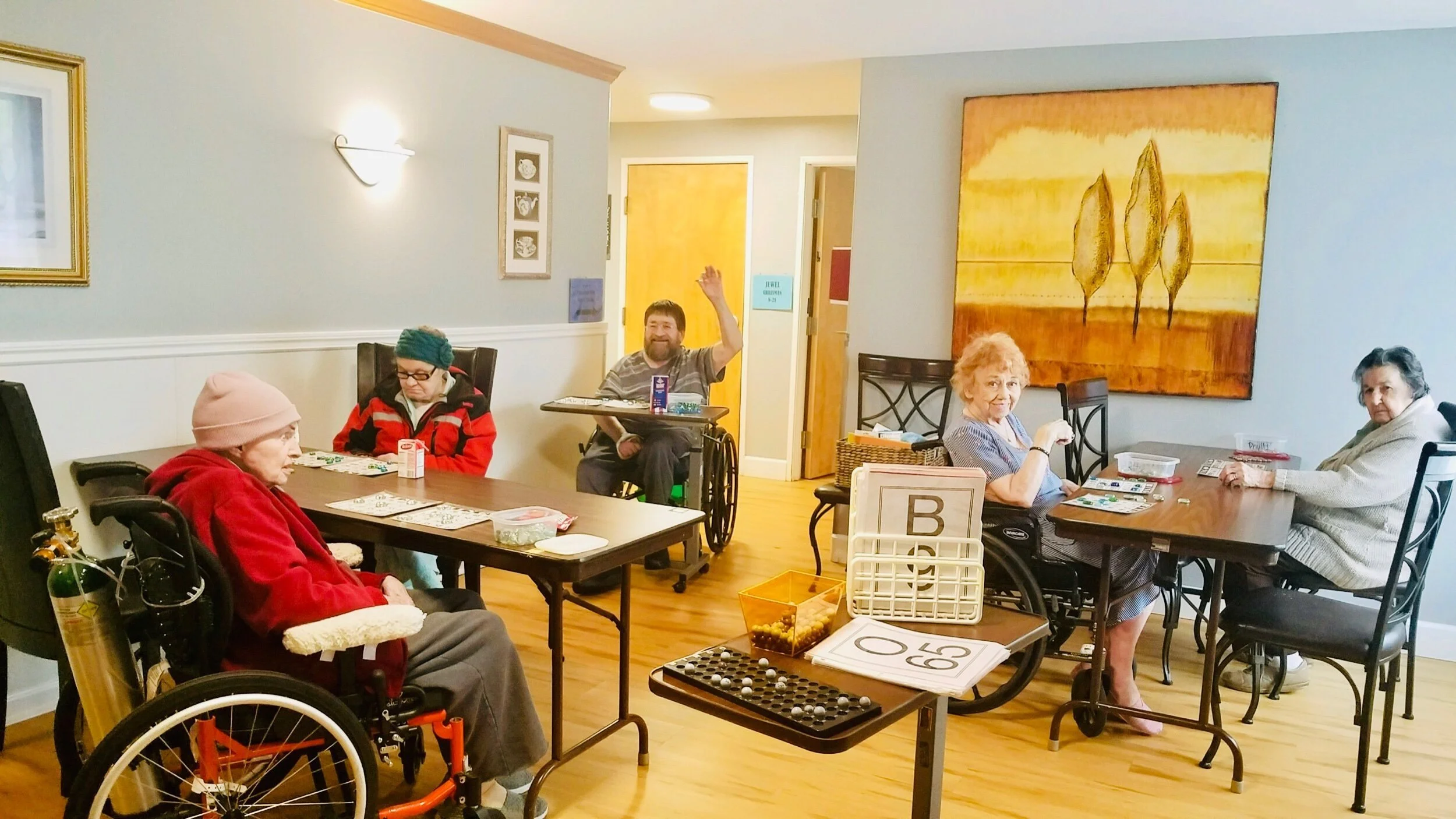 Mountain View Care Home