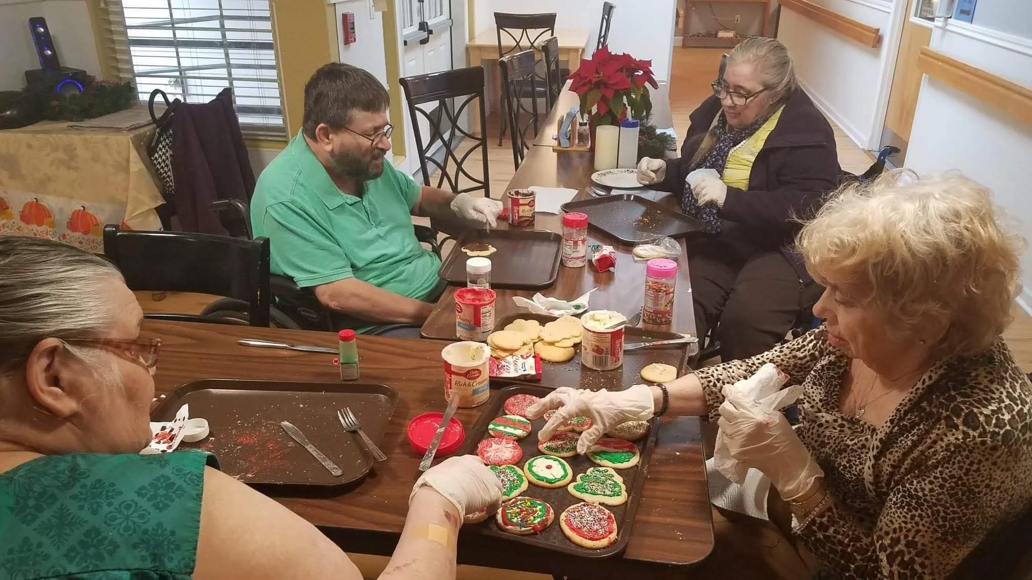 Mountain View Care Home