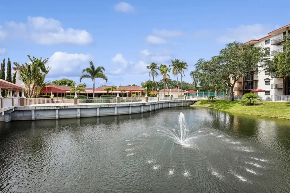 Outdoor area with a pond and palm trees