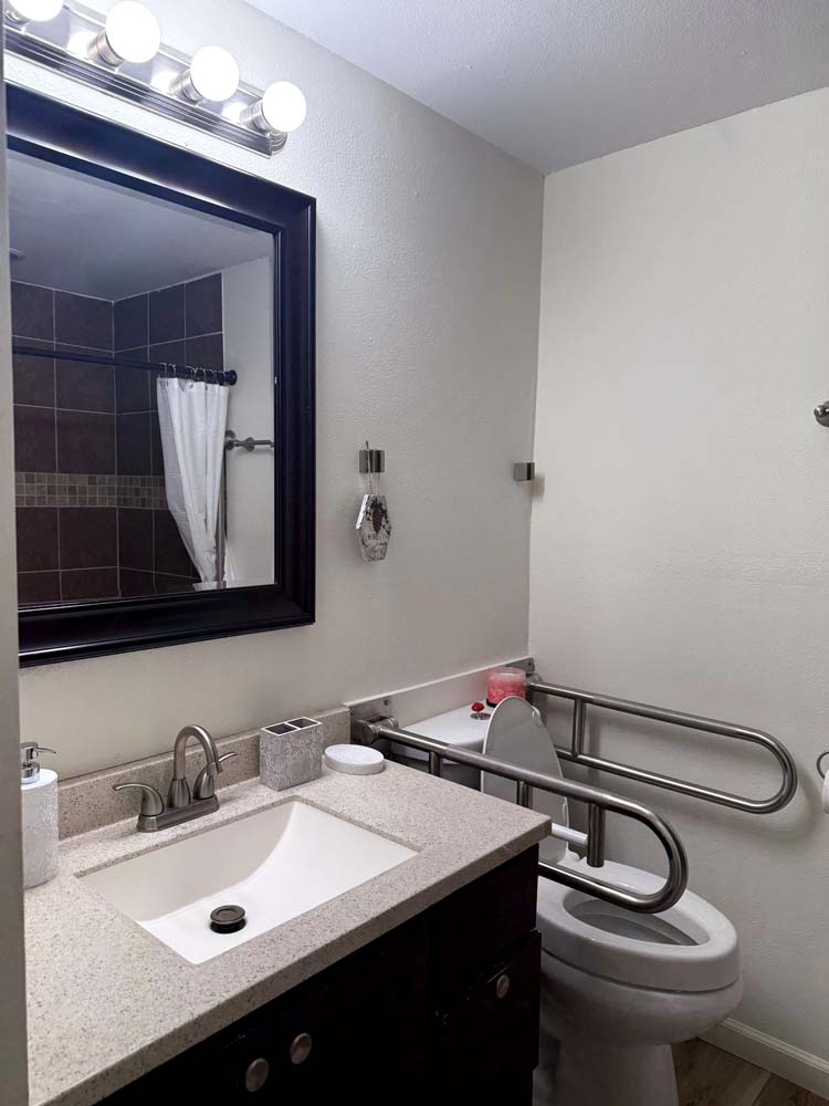 Accessible bathroom with grab bars and sink
