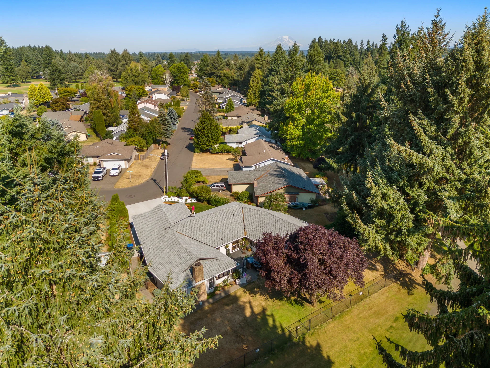 Aerial view of an assisted living neighborhood with houses