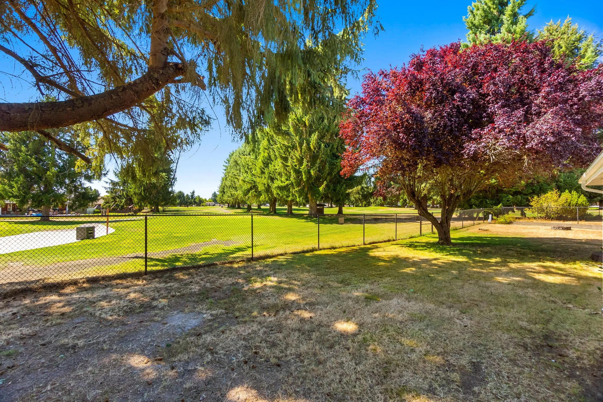 Outdoor space with green trees and a clear sky