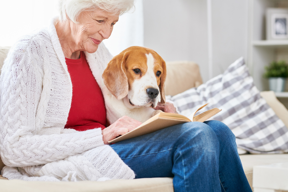 Senior woman reading with a dog in her lap