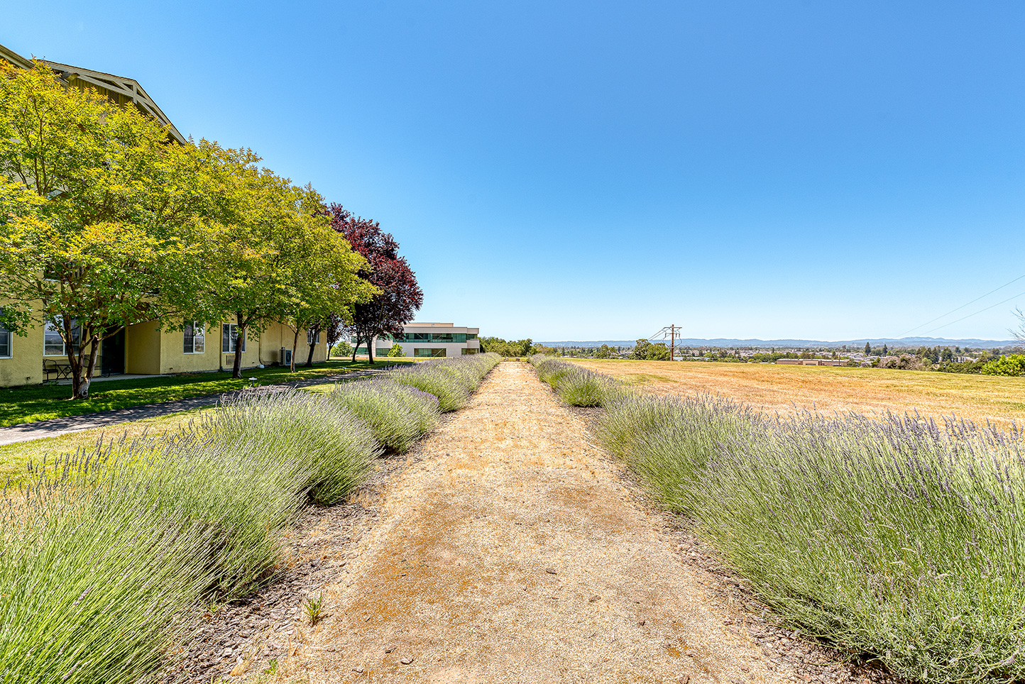 Pathway leading through landscaped outdoor space