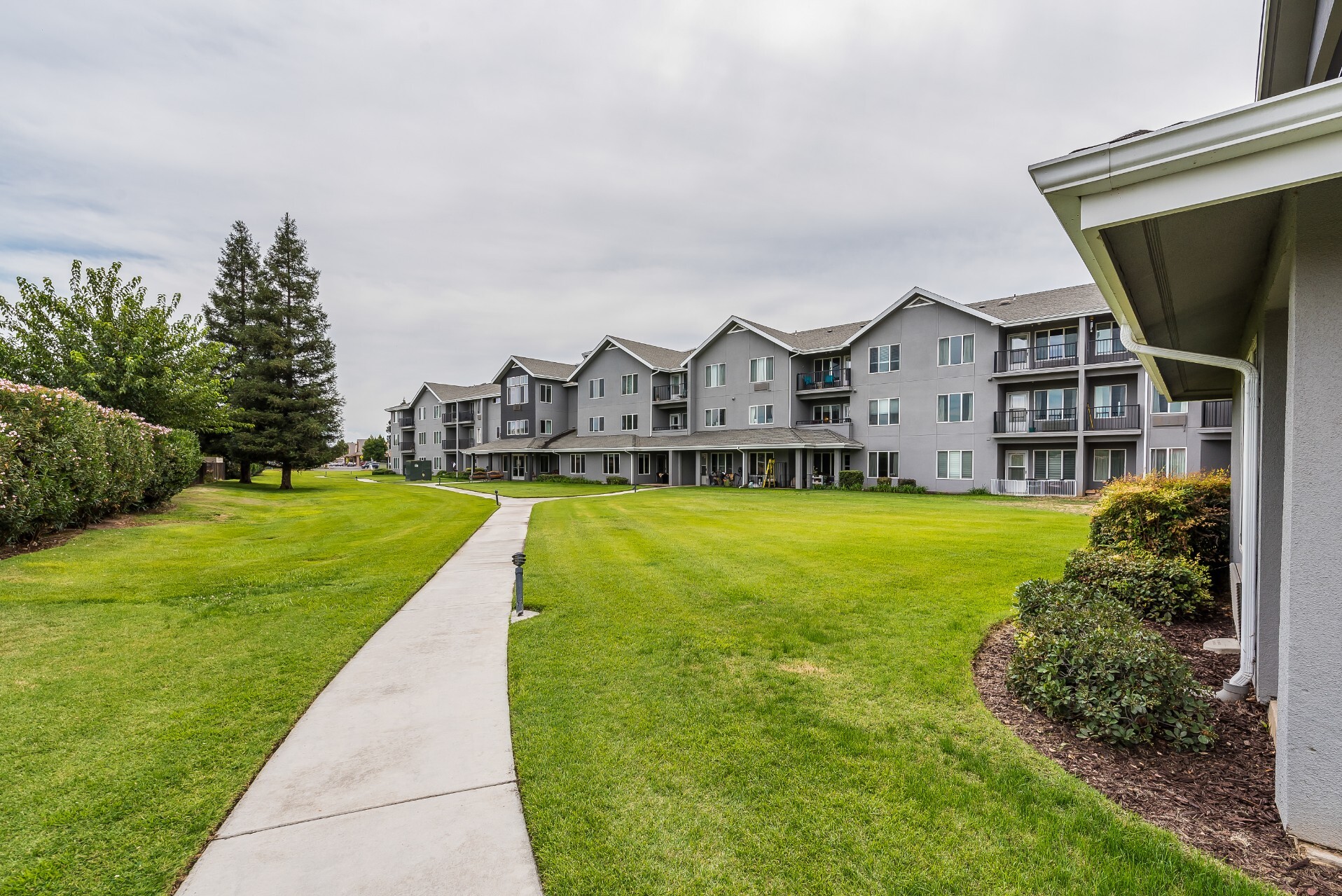 Pathway leading through landscaped grounds to the facility