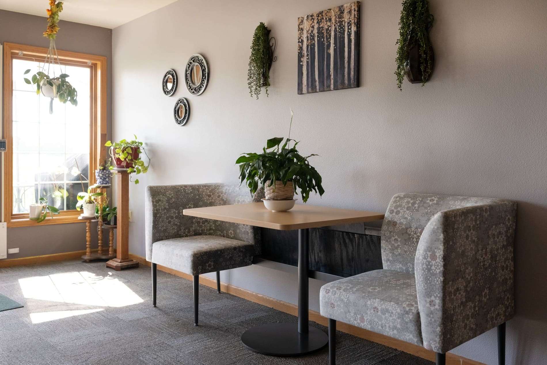 Cozy common area with plants and seating