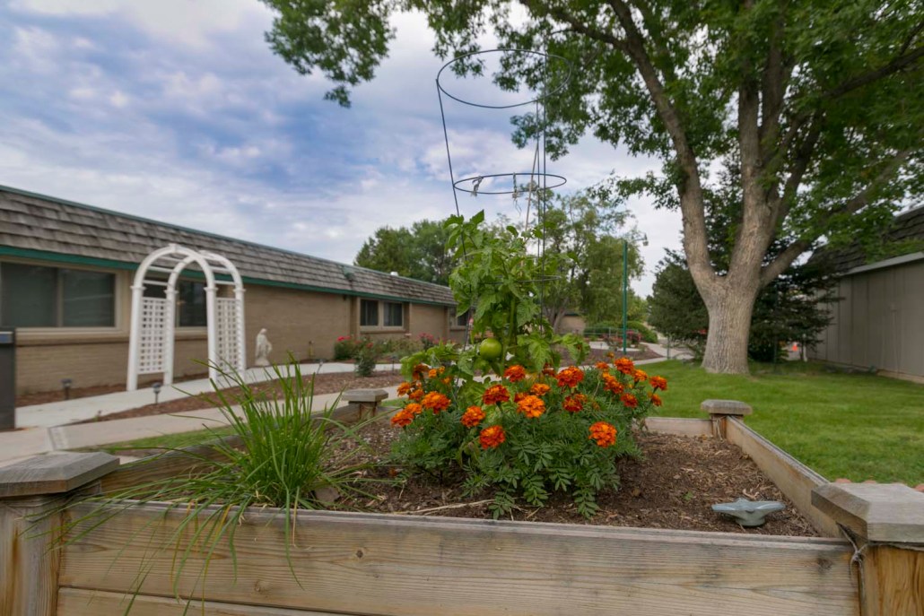 Colorful flowerbed in the facility's outdoor garden
