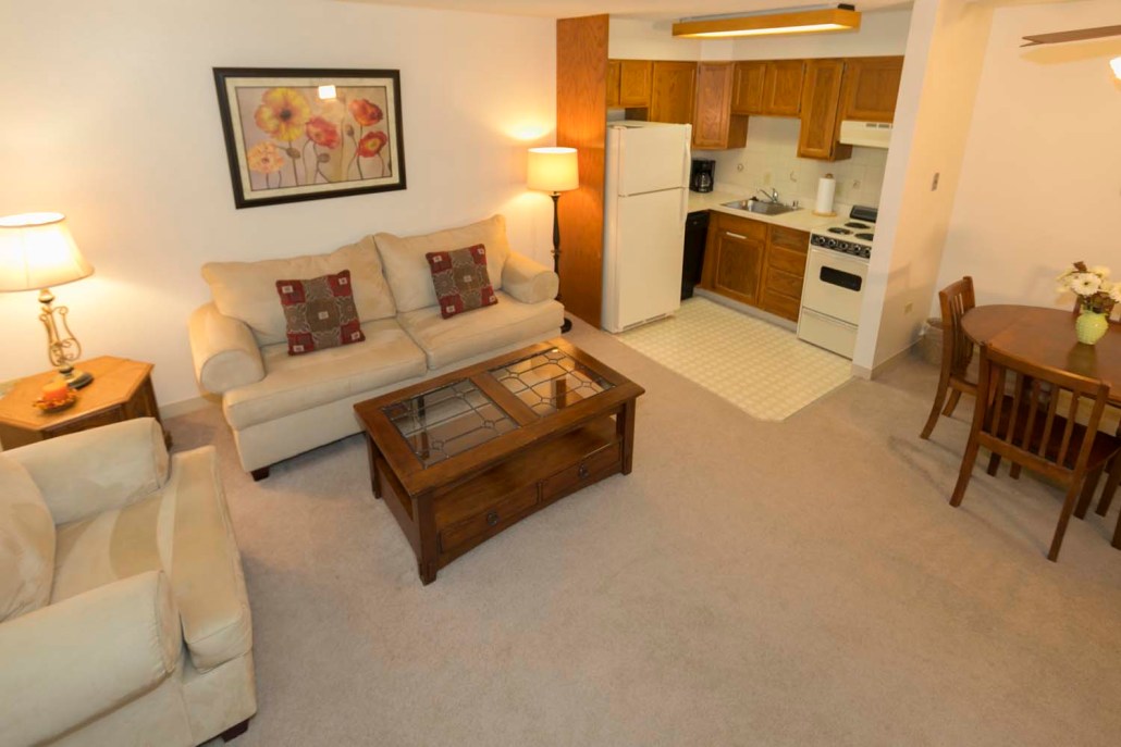 Cozy living area with kitchen and dining space