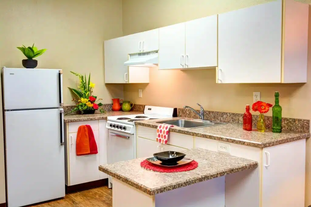 Bright kitchen with modern appliances and decorative plants