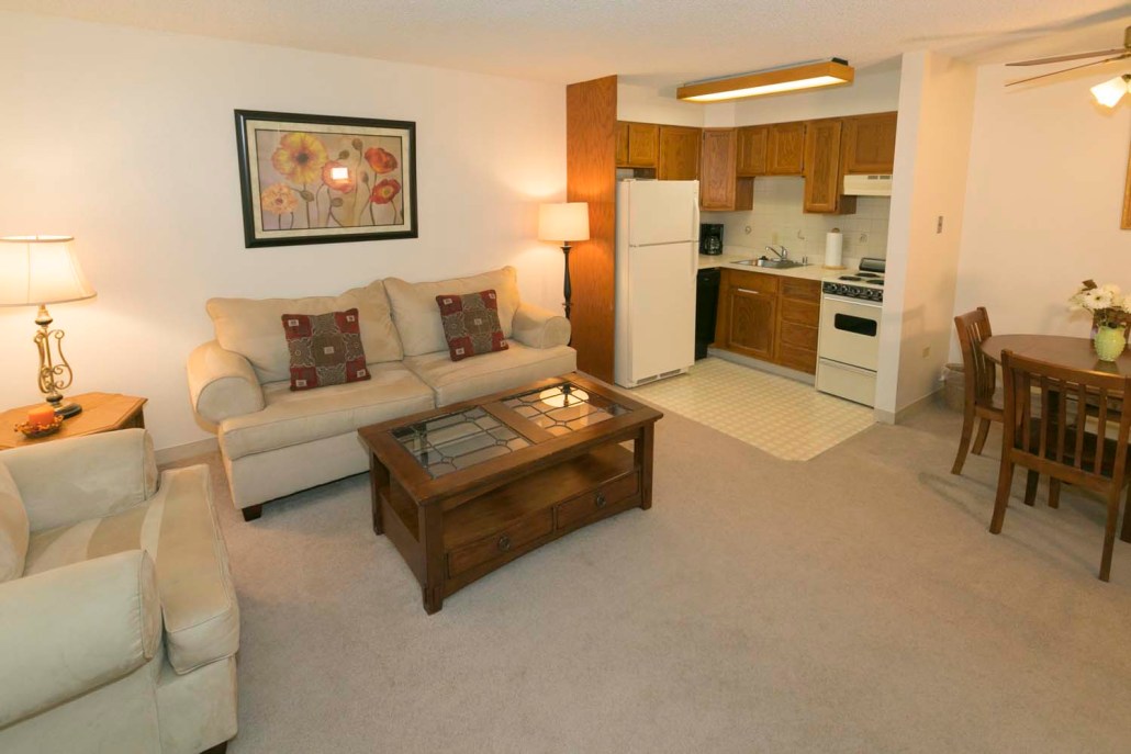 Cozy living room and kitchen area in a senior living apartment