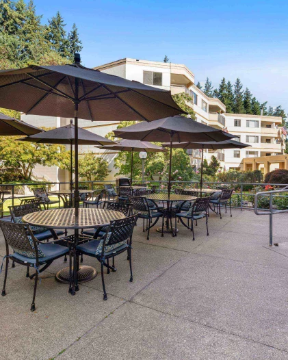 Outdoor seating area with umbrellas and tables