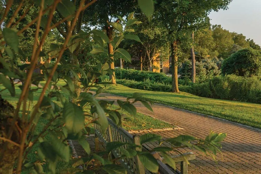 Well-maintained outdoor pathway and greenery