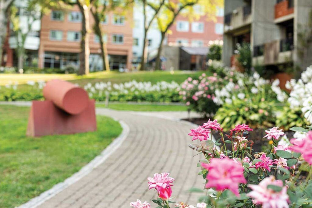 Pathway lined with flowers in the facility's garden.