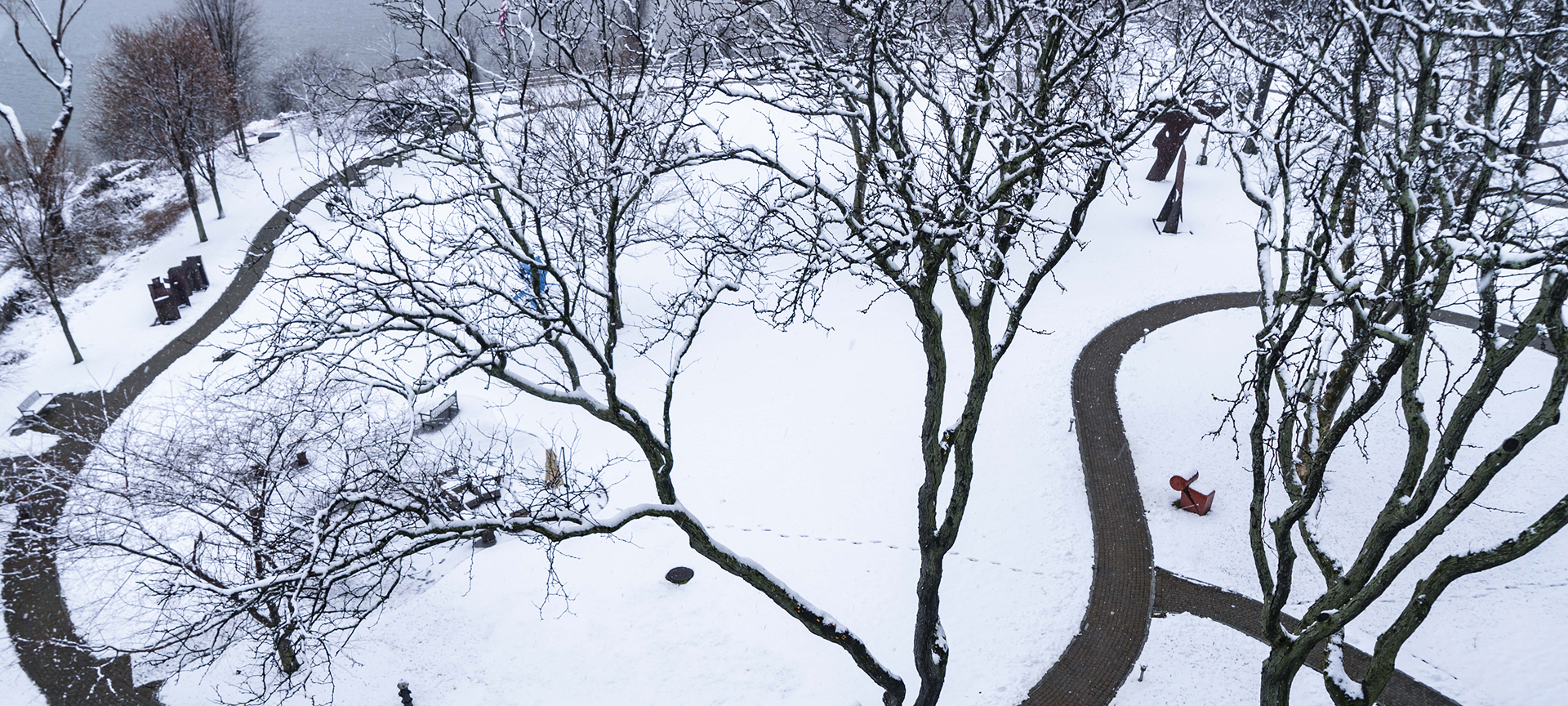 Snow-covered park with winding paths and trees