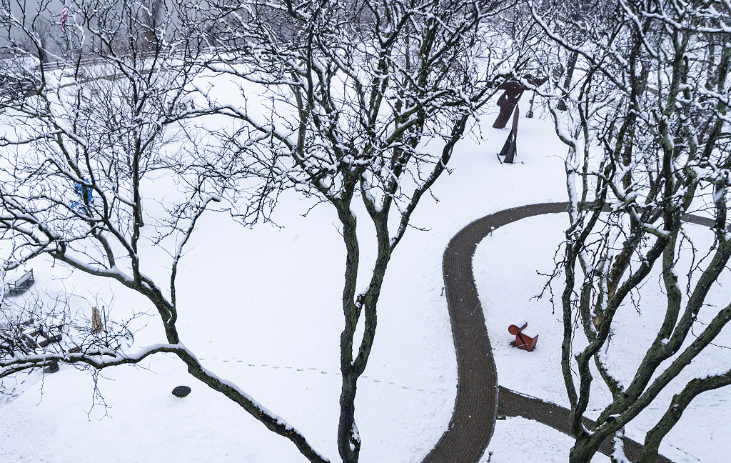 Aerial view of snow-covered outdoor space with trees.