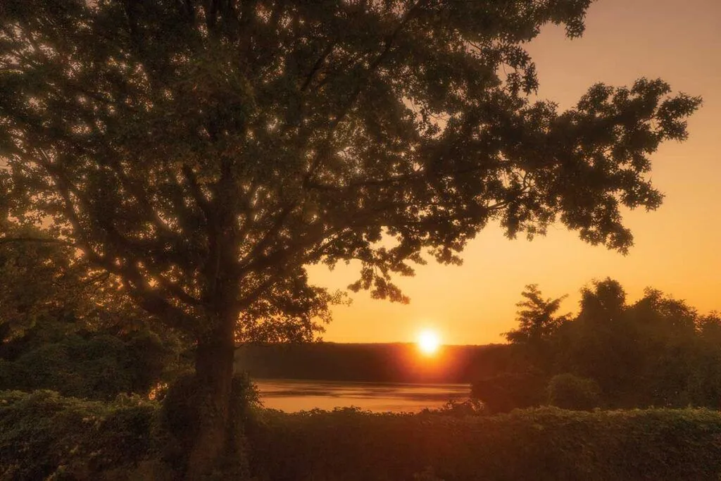 Sunset over a tranquil outdoor landscape