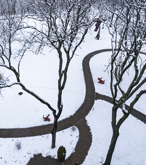 Snow-covered outdoor path and trees in a garden