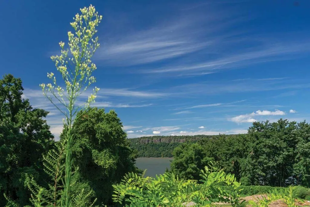 Lush greenery with a river view under a blue sky.