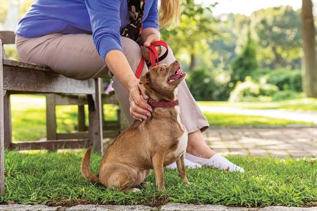 Resident interacting with a dog in a garden