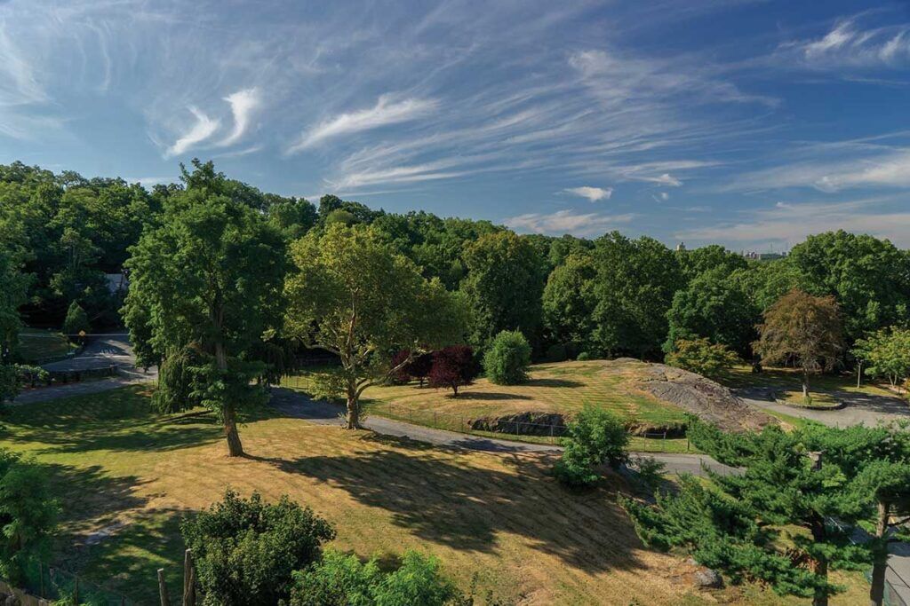 Scenic outdoor area with trees and grassy space