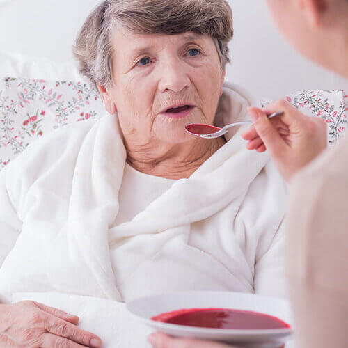Carmel Care Home