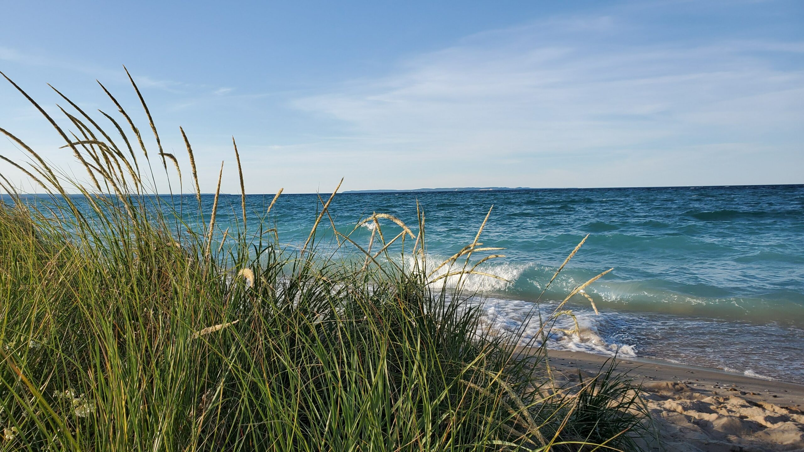 Coastal view with grass and waves.