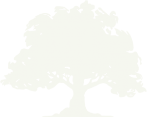 The Estates At Carpenters