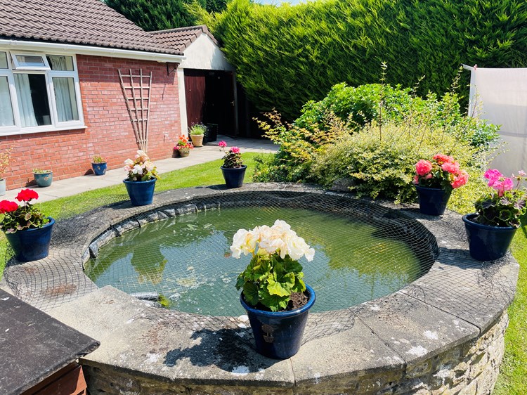 Outdoor garden with flowers and a pond