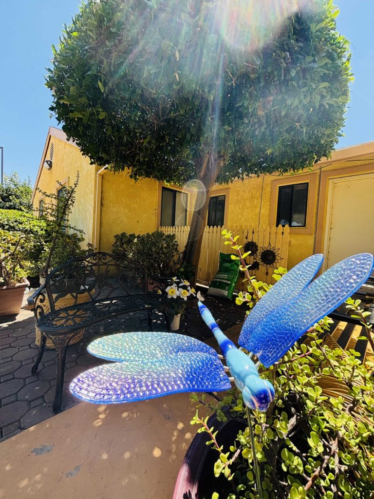 Colorful dragonfly sculpture in garden area