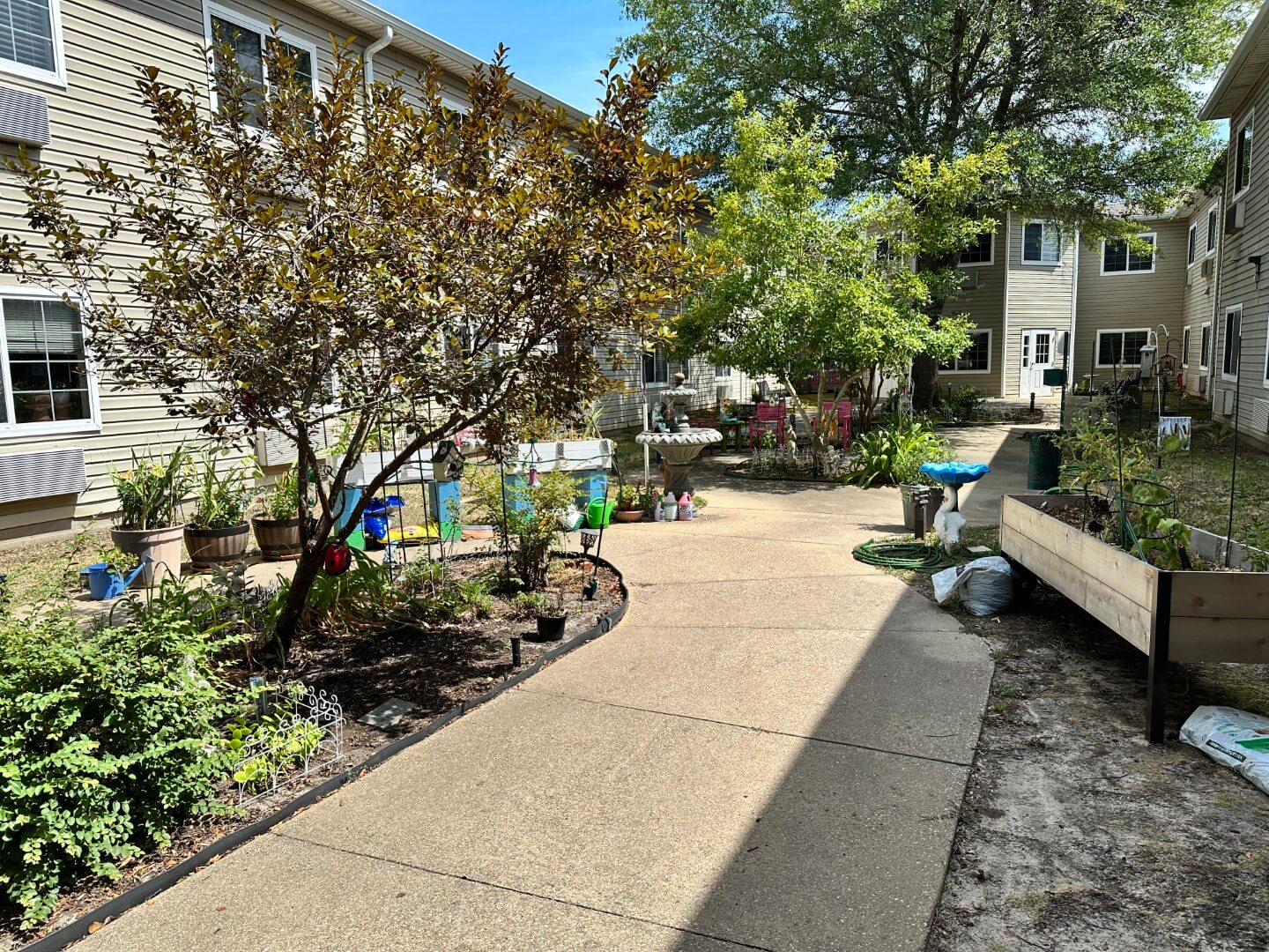 Garden pathway surrounded by plants and flowers