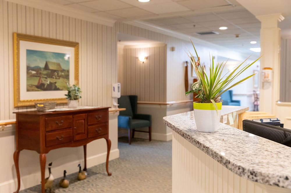 Interior view of a reception area with plants