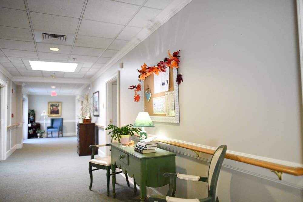 Cozy hallway with decorative elements and plants