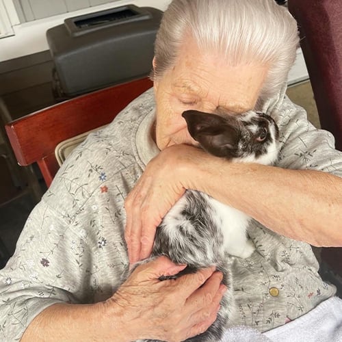 Senior resident cuddling a bunny, showing affection.