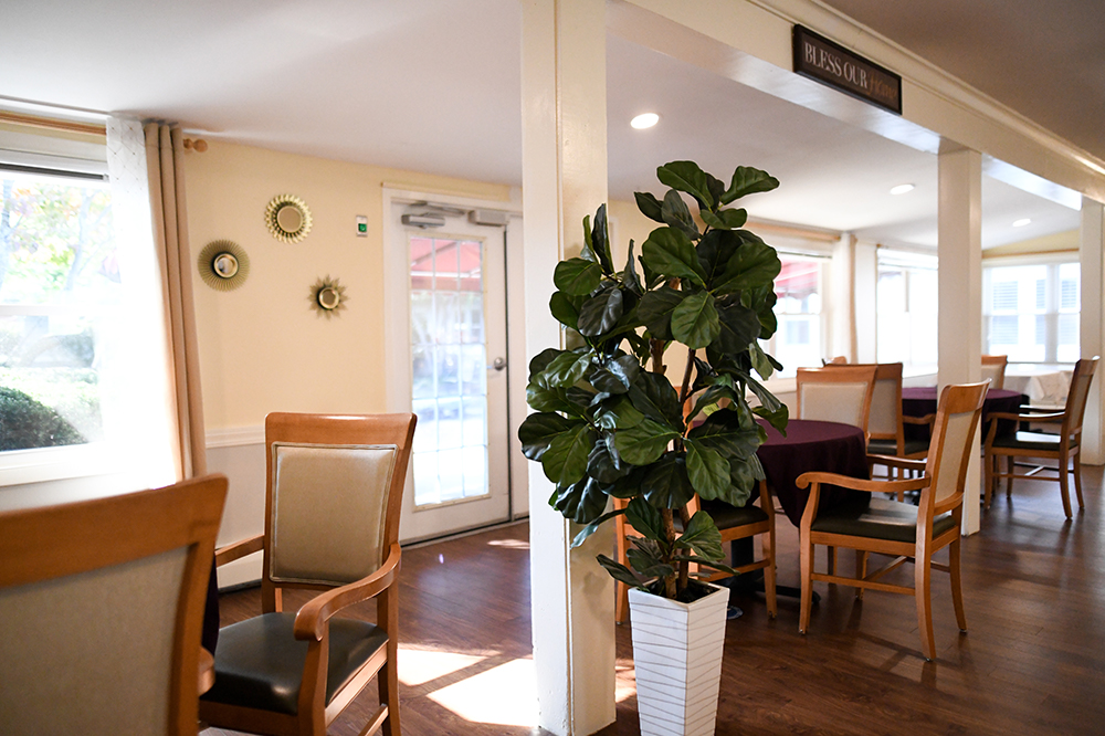Interior view of a dining area with plants and chairs