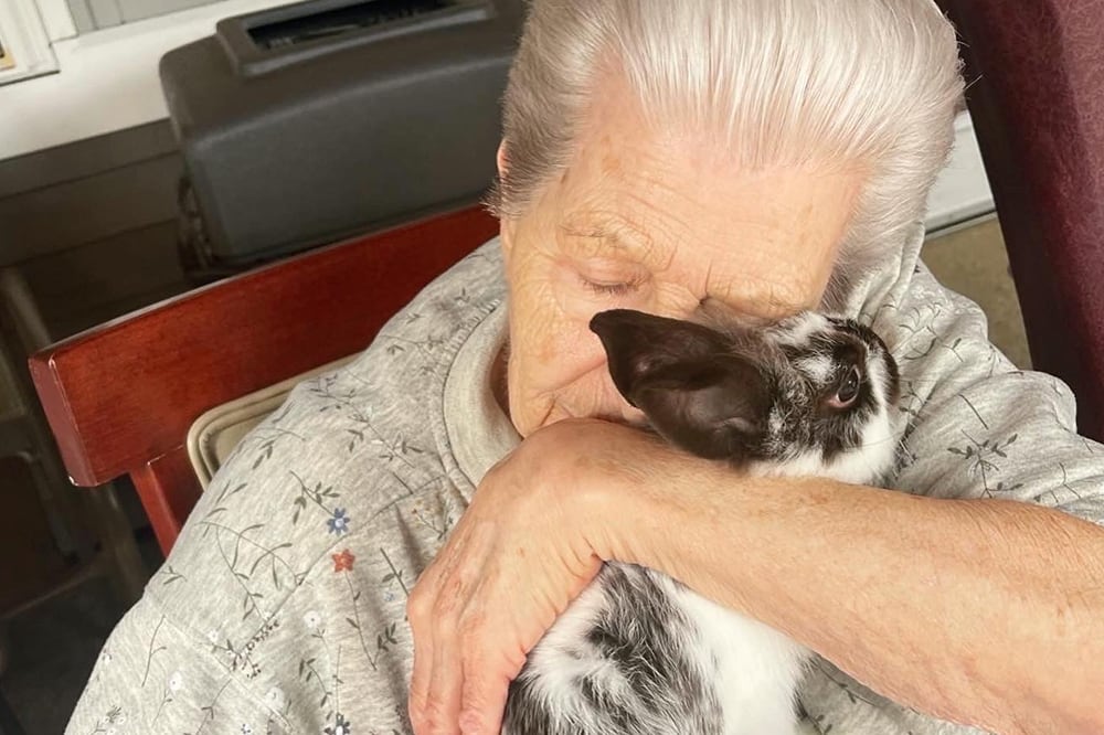 An elderly person cuddling a bunny