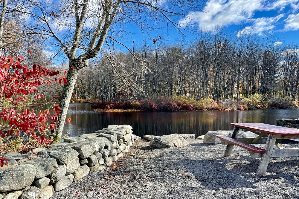 Scenic outdoor area by a lake with picnic table