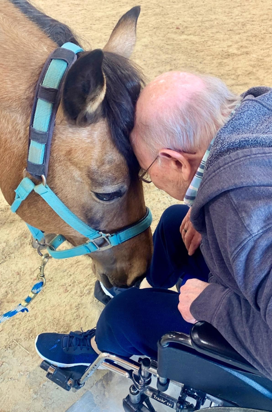 A resident interacting with a horse during therapy
