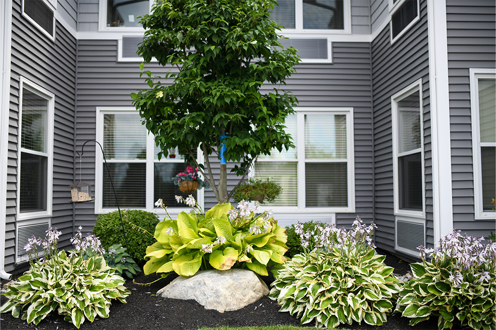 Beautiful garden area with various plants