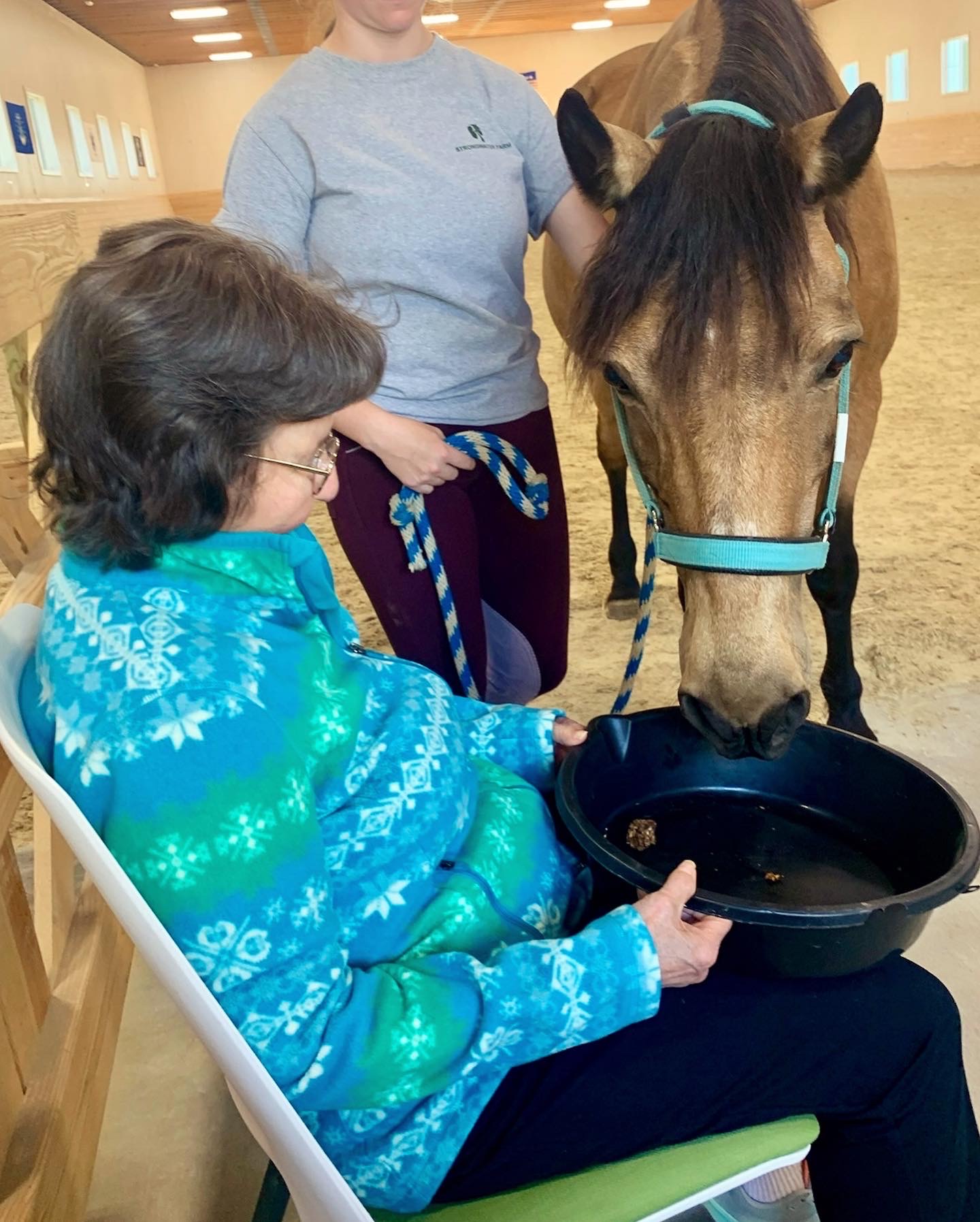 Resident interacting with a horse in a therapeutic setting